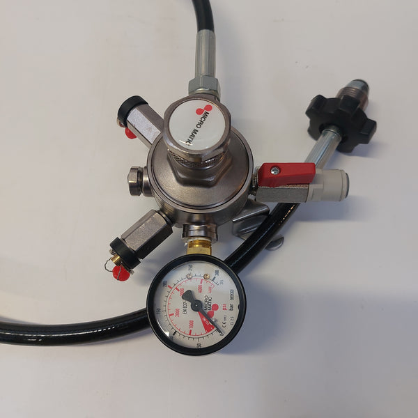 Primary wall mounted mixed gas regulator
