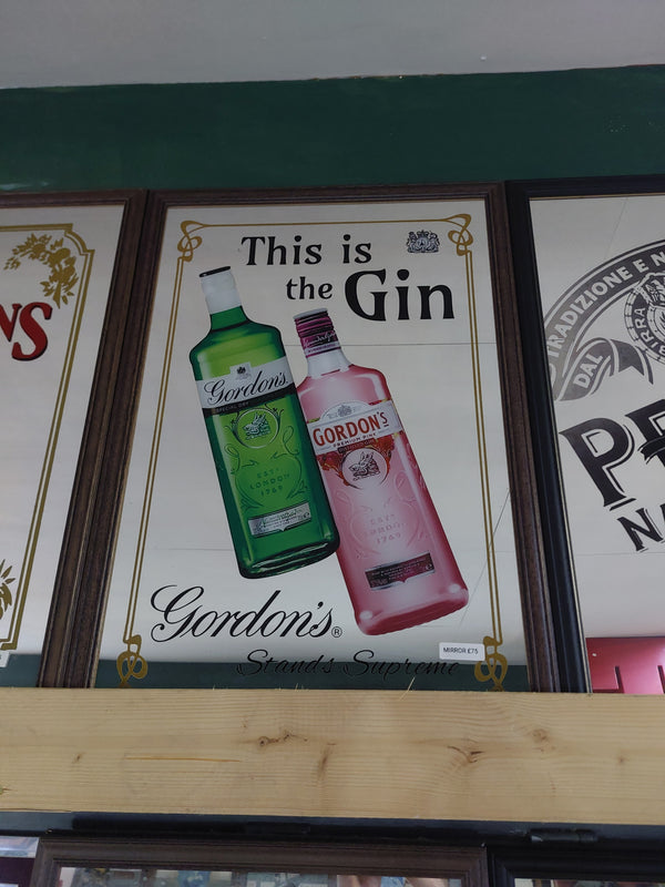 Gordon's gin mirror